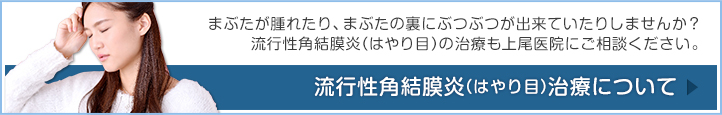 はやり目について